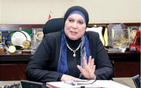 نيفين جامع : اللائحه التنفيذيه لقانون التنميه